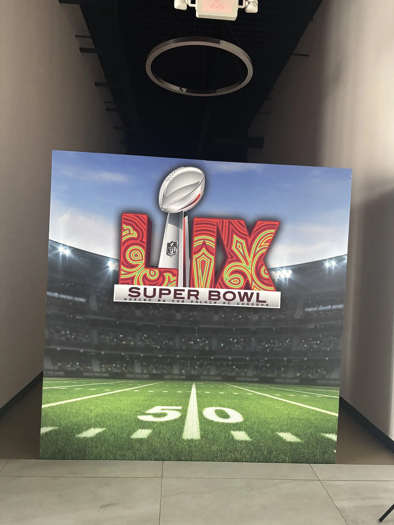 A Super Bowl LIX stadium photo backdrop